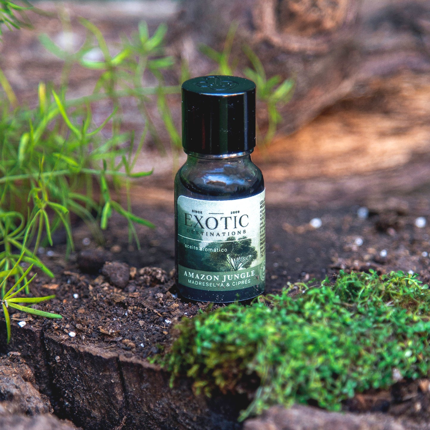 Aceites Aromáticos - Exotic Destinations (NEW)