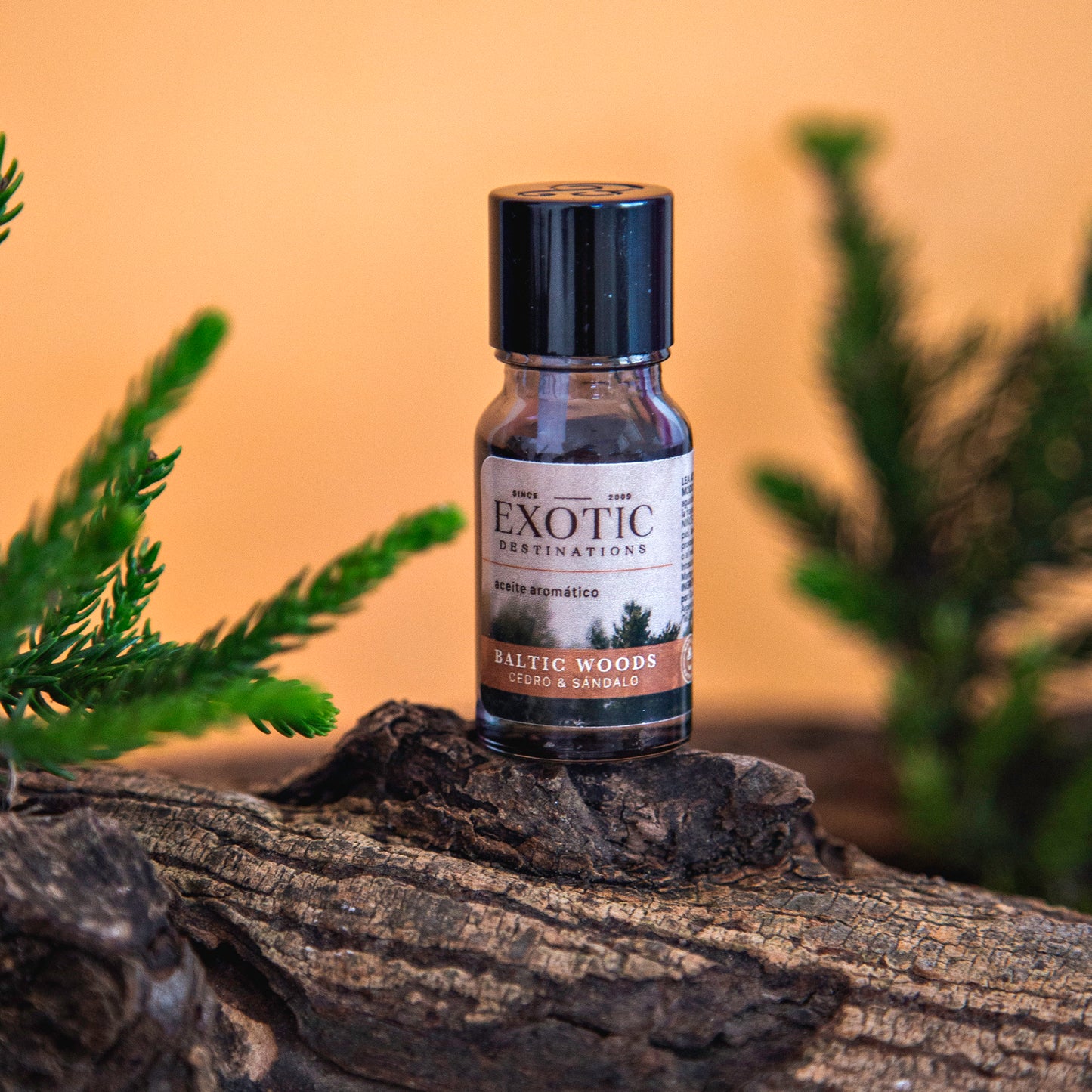 Aceites Aromáticos - Exotic Destinations (NEW)