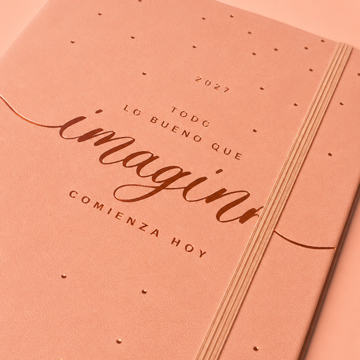 2027 - Agenda EDICION LIMITADA