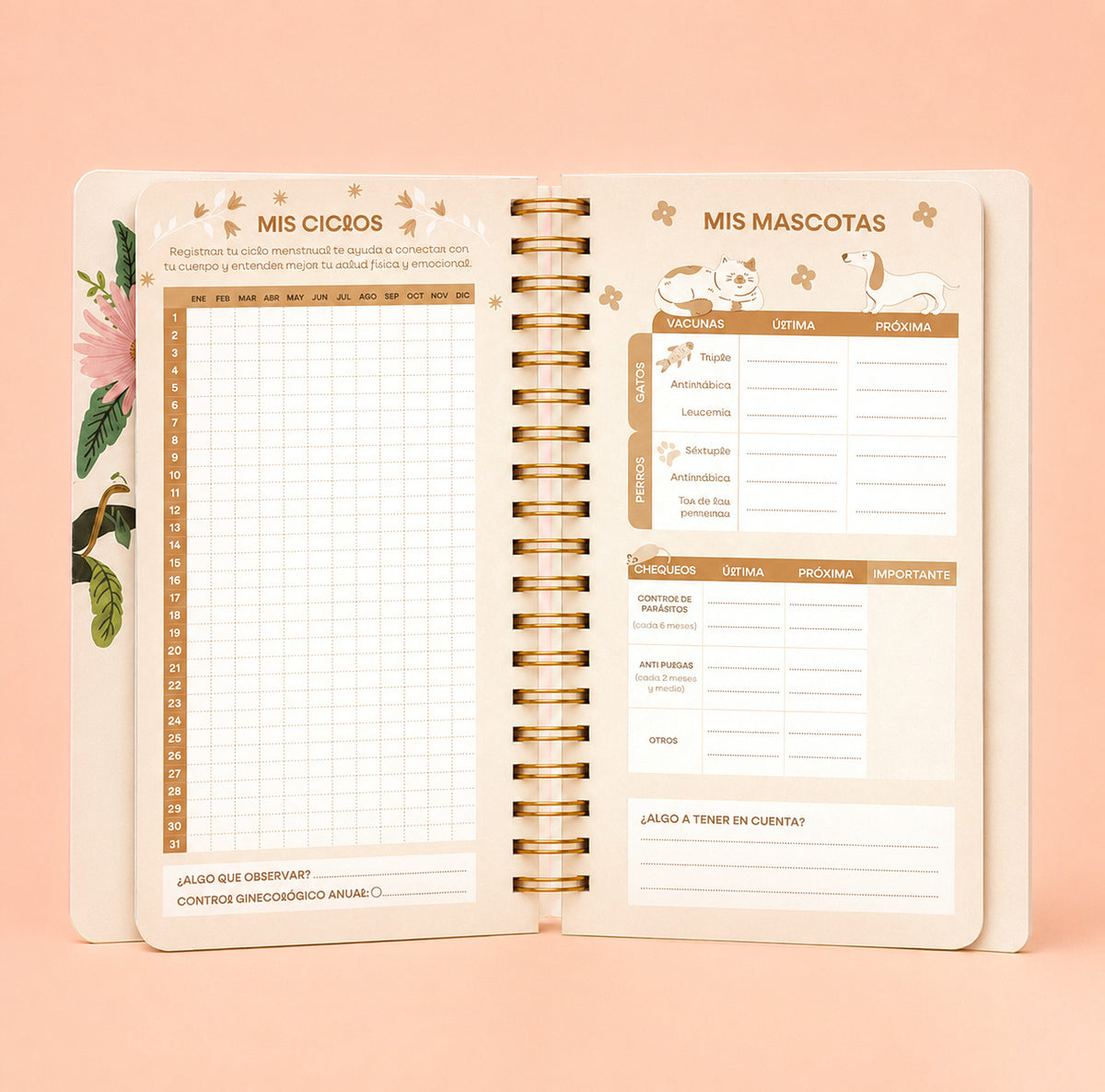 2027 - Agenda POCKET