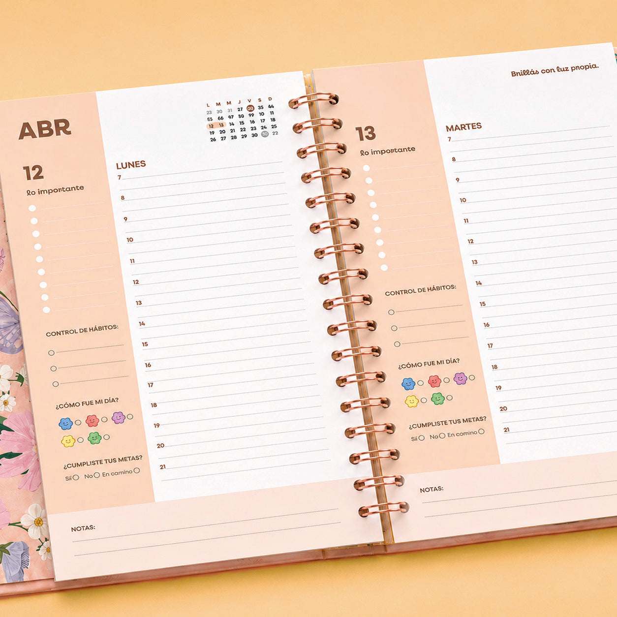 2027 - Agenda PREMIUM A5 - DIARIA