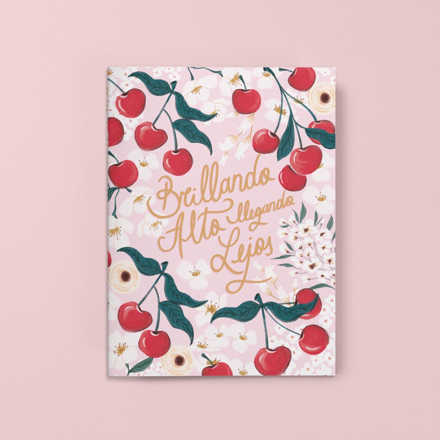 Libretas Grandes (A4)