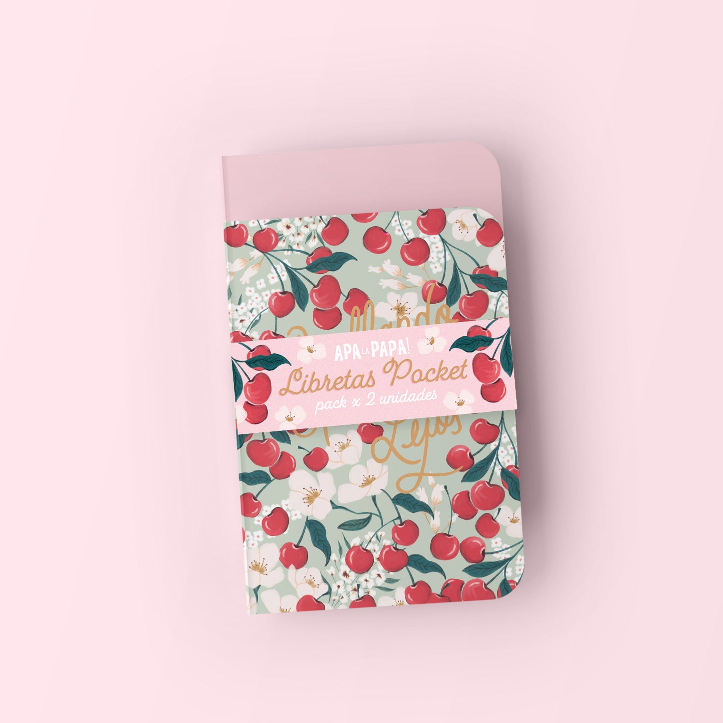Libretas Pocket - PACK X 2