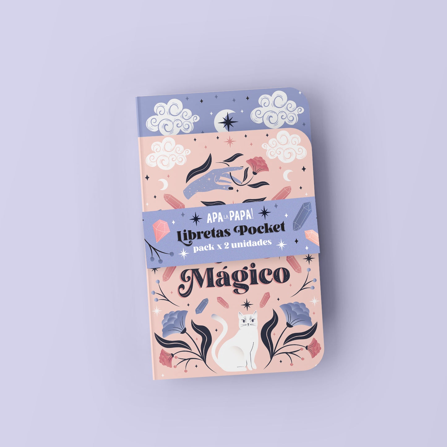 Libretas Pocket - PACK X 2