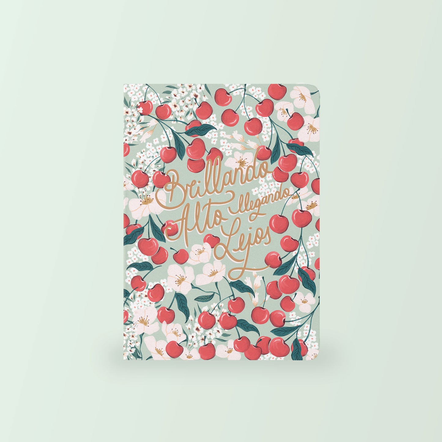 Libretas Medianas (A5)