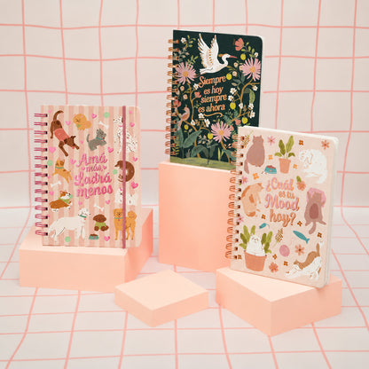 Cuadernos Anillados A5 - TAPA DURA