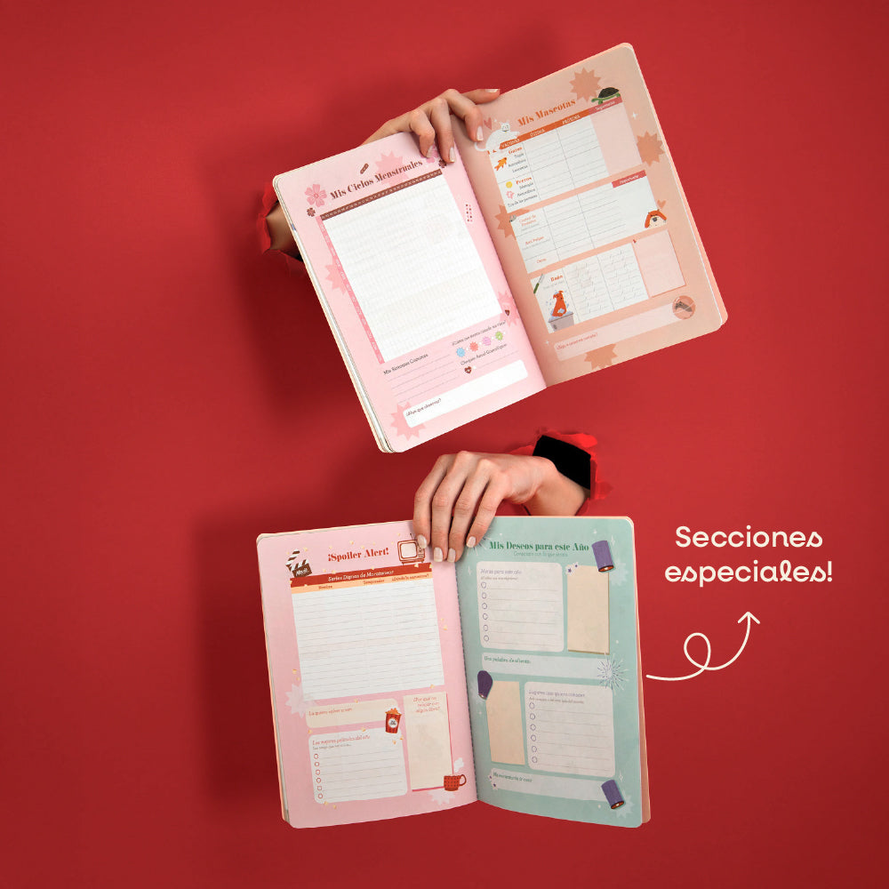 2026 - Organizador Mensual