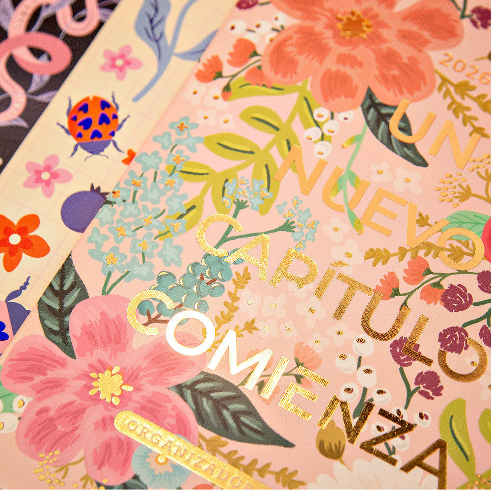 2026 - Organizador Mensual