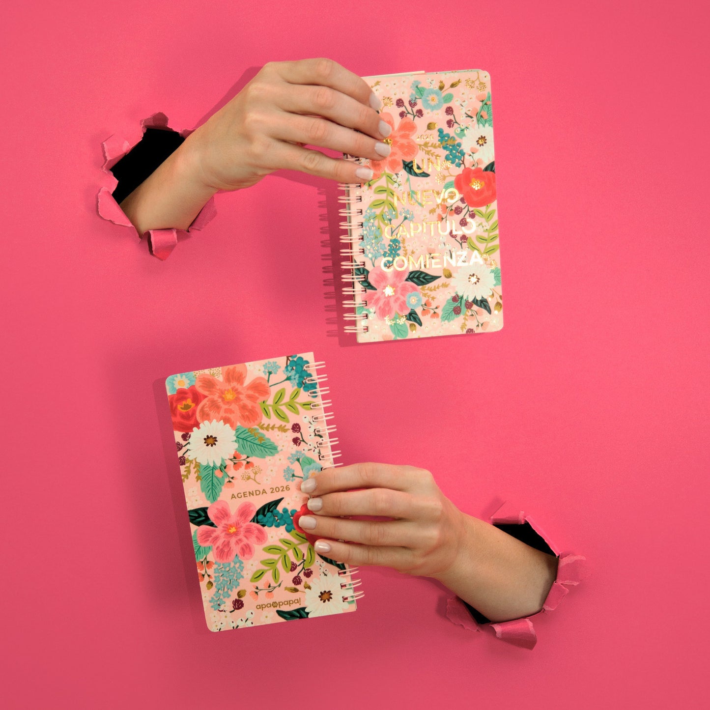 2026 - Agenda POCKET