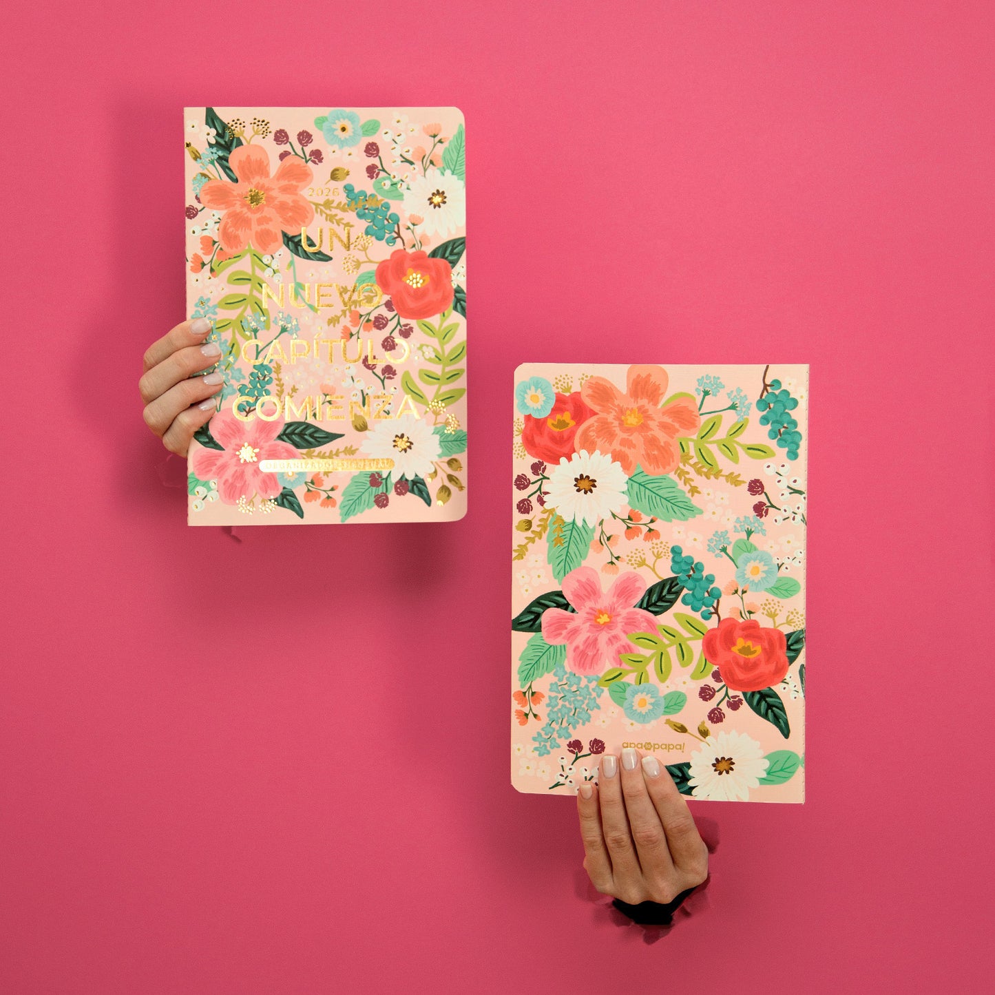 2026 - Organizador Mensual