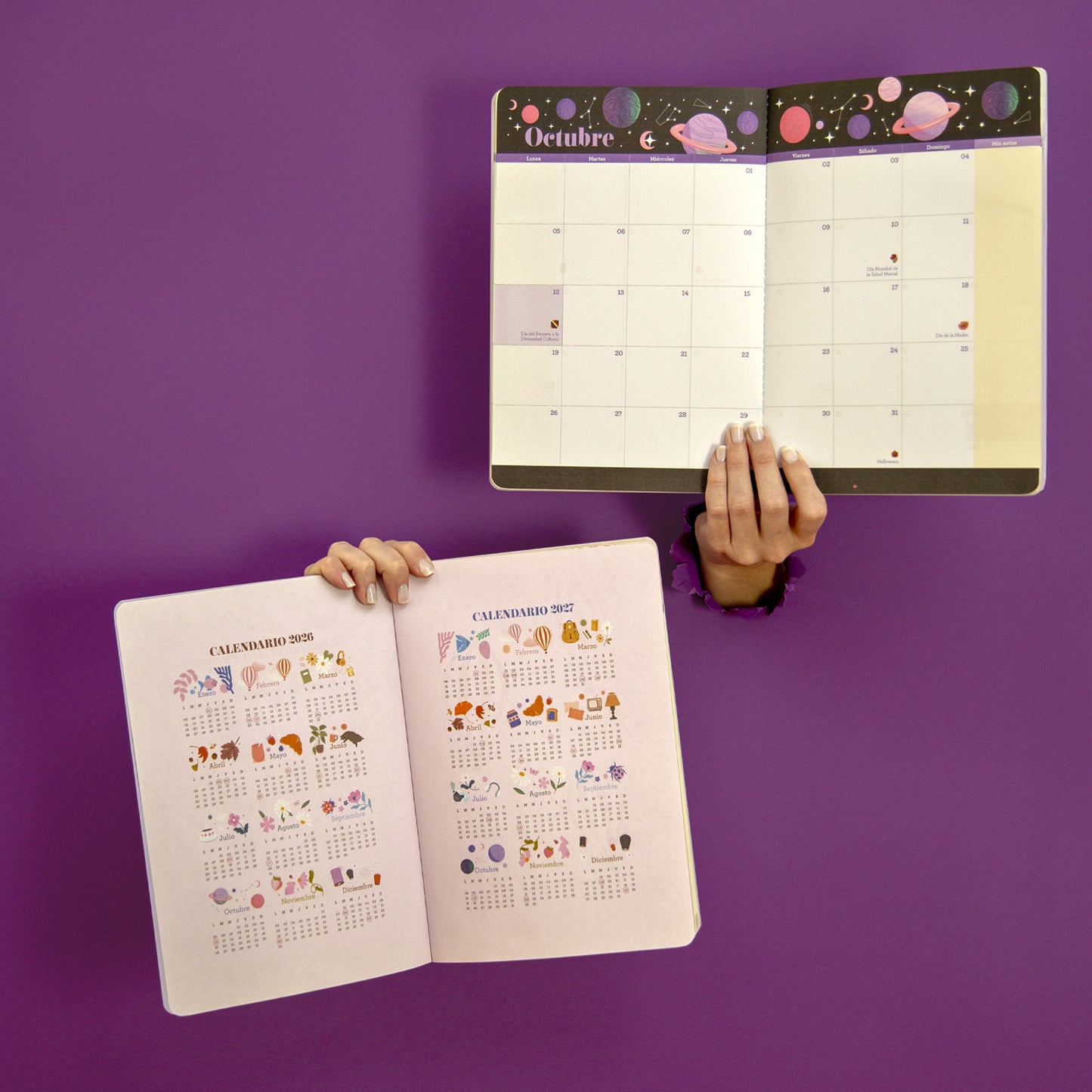 2026 - Organizador Mensual