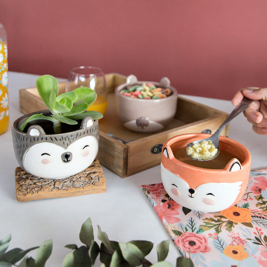 Animalitos - BOWLS & MACETAS